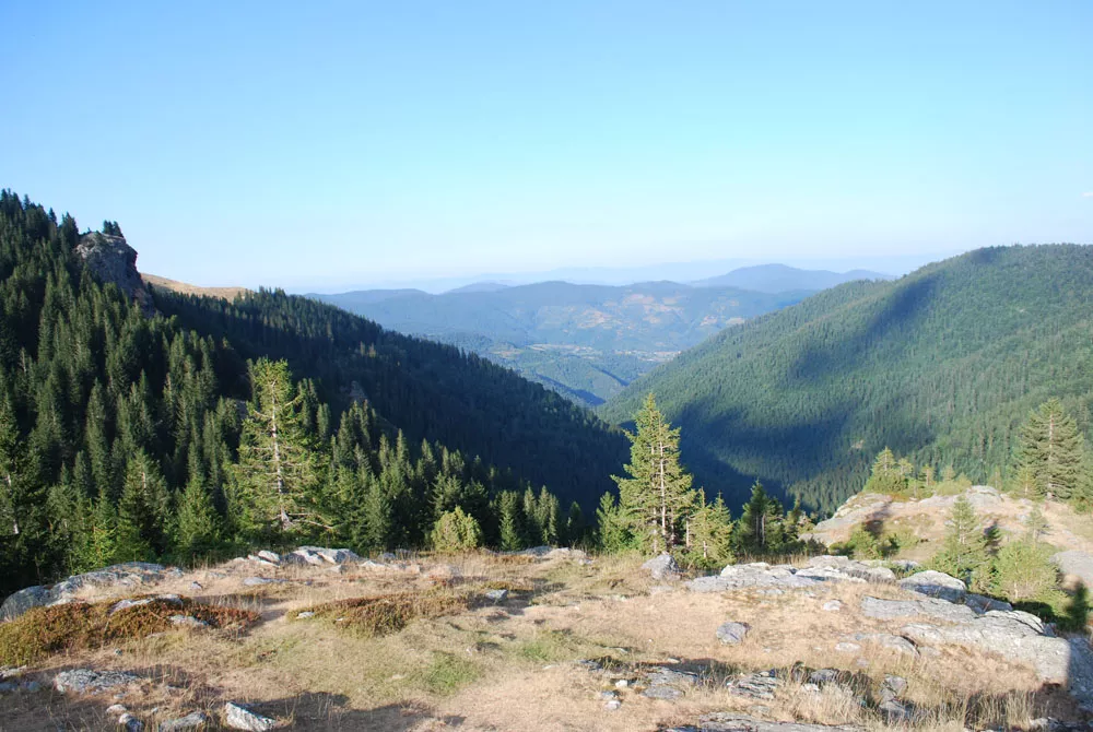 Aussicht Aussicht