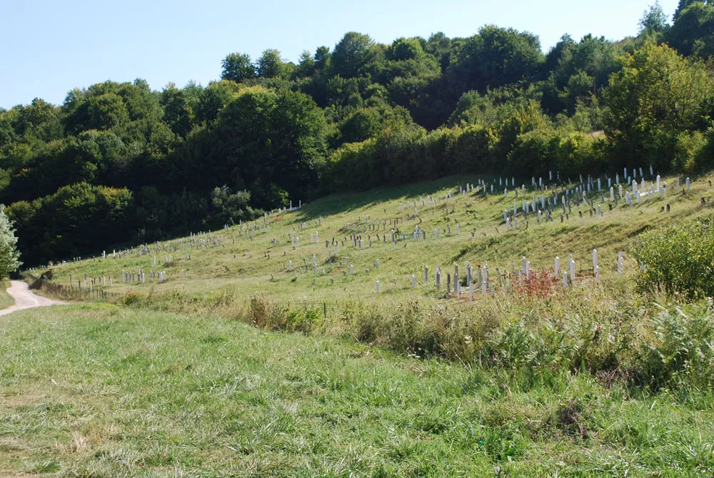 Friedhof im Tal Vratnica Friedhof im Tal Vratnica